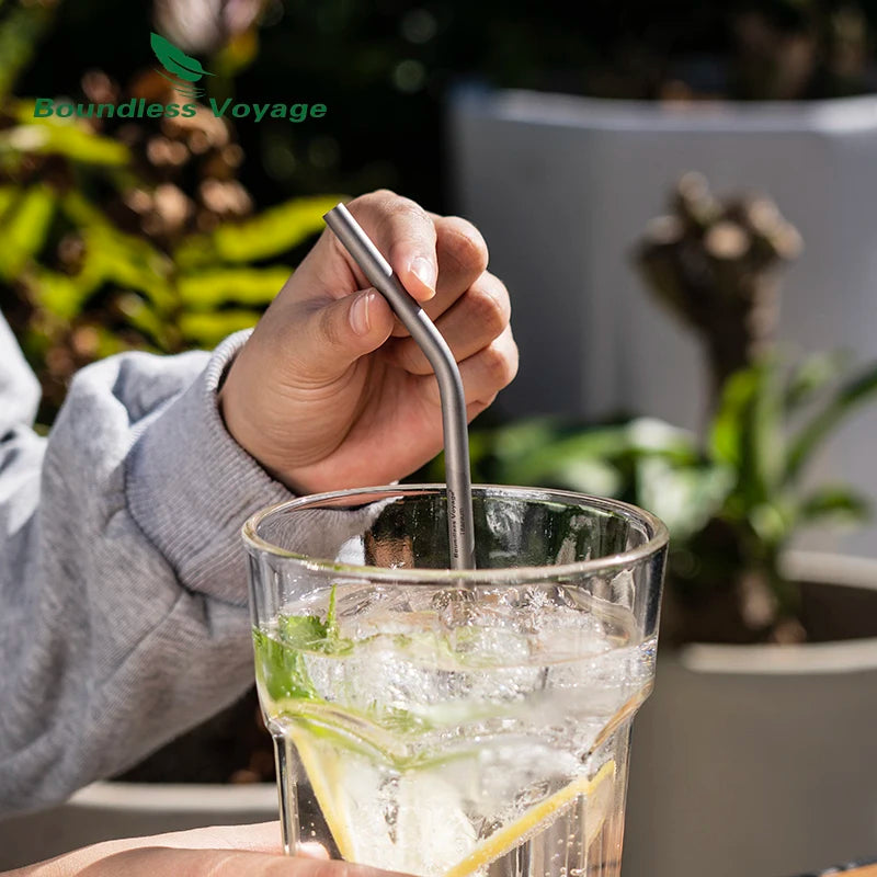 Boundless Voyage Titanium Straw with Cleaning Brush Straight Curved Reusable Drinking Straw Water Flatware for Coffee Tea Yogurt Ti1018T