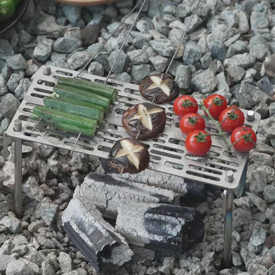 TA1 Pure Titanium Mini Grill Grid 250x110mm