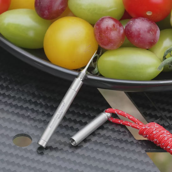 Boundless Voyage Titanium Toothpick Set- 2-in-1