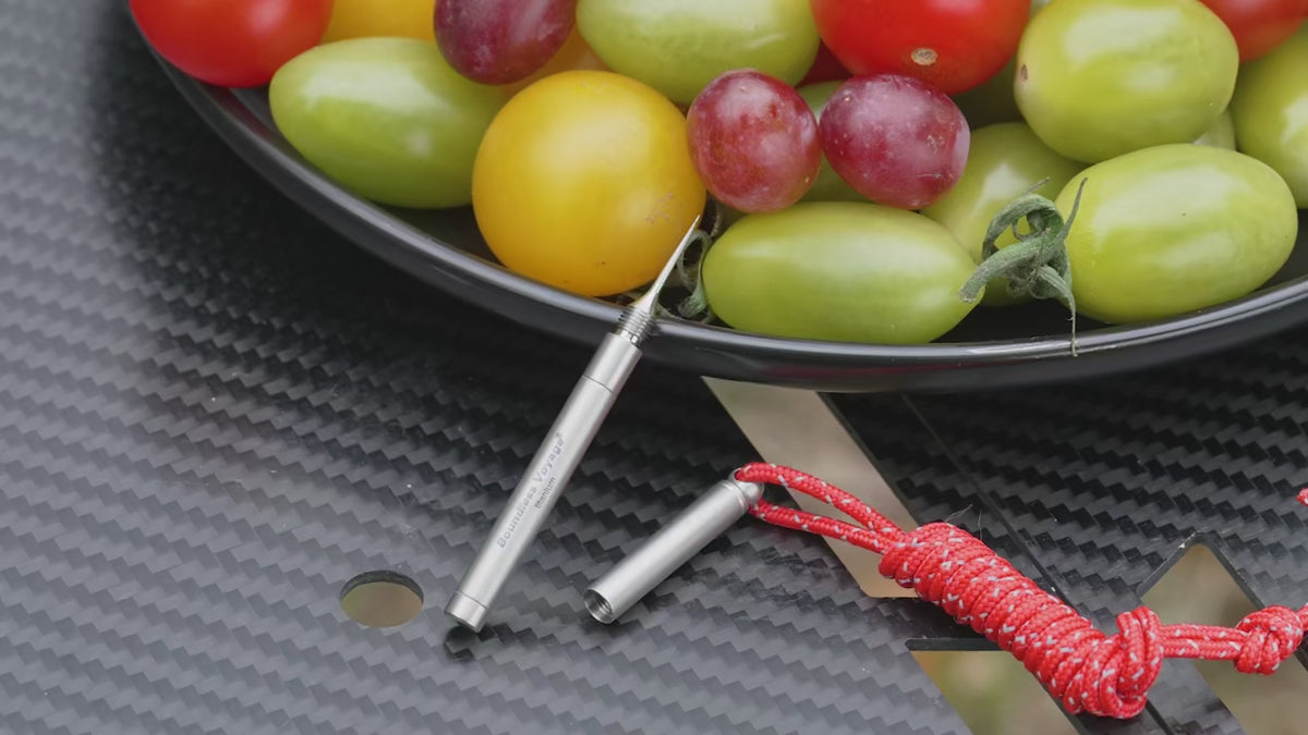 Boundless Voyage Titanium Toothpick Set- 2-in-1